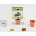 Single Pot Greenhouse