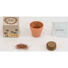 Single Pot Box