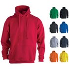 Adult Hooded Sweatshirt 