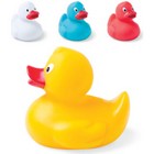 Duck Koldy