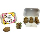 Seed Egg Carton