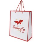 Newquay Paper Bag
