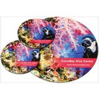 SmartMat OptiPlus & Coaster Set -Square Coasters 90mm x 90mm