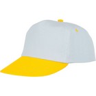 Icarus 5 panel duotone cap