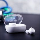 Earphones Merkus