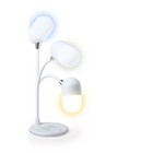Multifunction Lamp Lerex