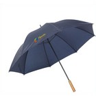 BlueStorm umbrella