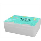 Dinner Box lunchbox