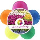 Bloom highlighter