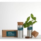 DESKTOP GARDEN BOXED - SNOW MIX