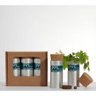DESKTOP GARDEN BOX OF THREE - SKY MEADOW