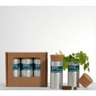 DESKTOP GARDEN BOX OF THREE - CHRISTMAS TREE