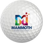 ProTech LogoBalls - Air (Bulk Packed)