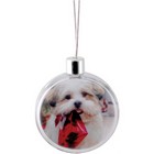 Round Ornament - Clear (Full Colour Print)