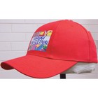 Baseball Cap