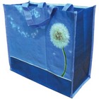 Pp Woven Bag - Large