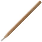 Arica Ballpoint Pen