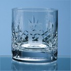 Mayfair Crystalite Panel Whisky Tumbler
