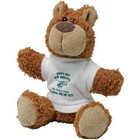 8 Buster Bear With T Shirt