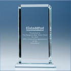 23cm Crystaledge Clear Echo Award