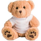 10 Dexter Bear Wth T-shirt