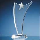 30cm Optical Crystal Swoop Award