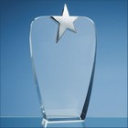 22.5cm Optical Crystal Oval Award