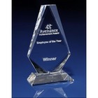 Crystal Iceberg Award