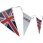 Synthetic Paper Bunting