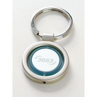 Zebra Spinning Keyring