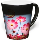 Latte WoW Mug