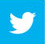 Twitter icon